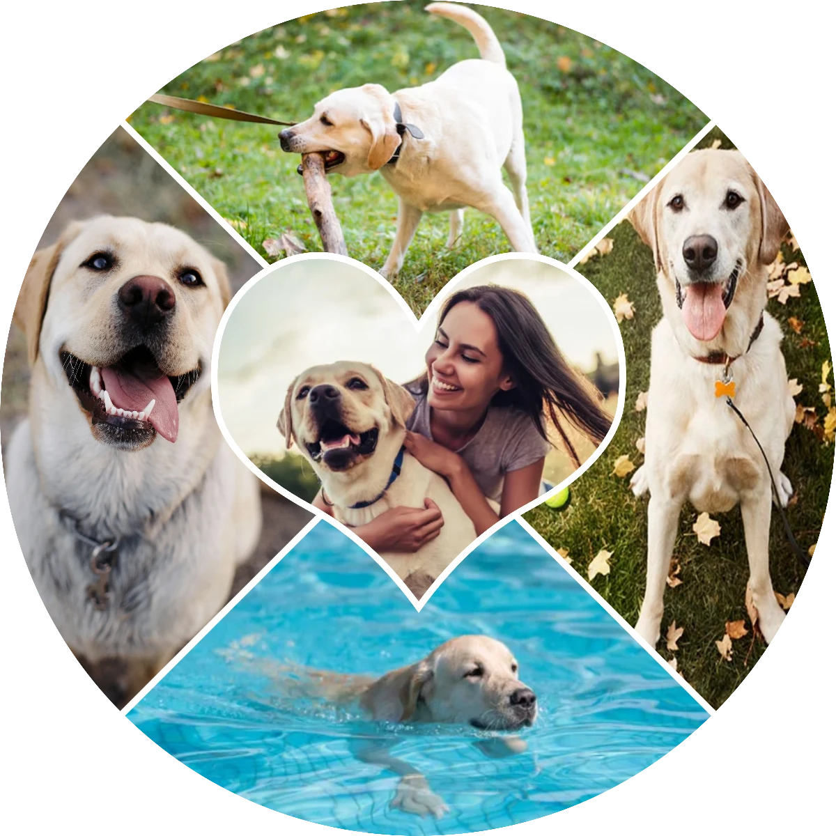 Mosaico Corazón Peludo